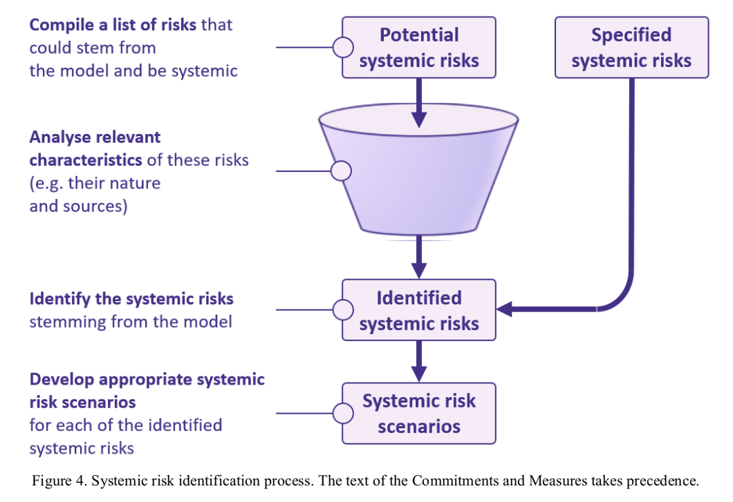 Figure 4. Systemic risk identification process. The text of the Commitments and Measures takes precedence.